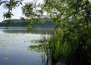 Grünow - Umgebung - See