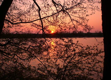 Grünow - Umgebung - See