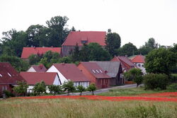 Grünow vom Feld aus gesehen