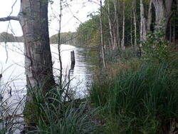 Grünow - Umgebung - See