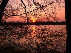 Grünow - Umgebung - See