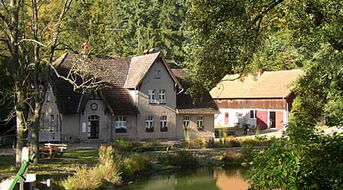 Jugendwaldheim Steinmühle