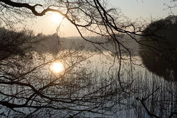 Grünow - Umgebung - See