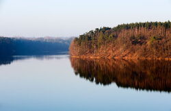 Grünow - Umgebung - See